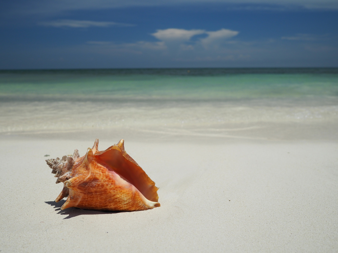 Isla Mucura